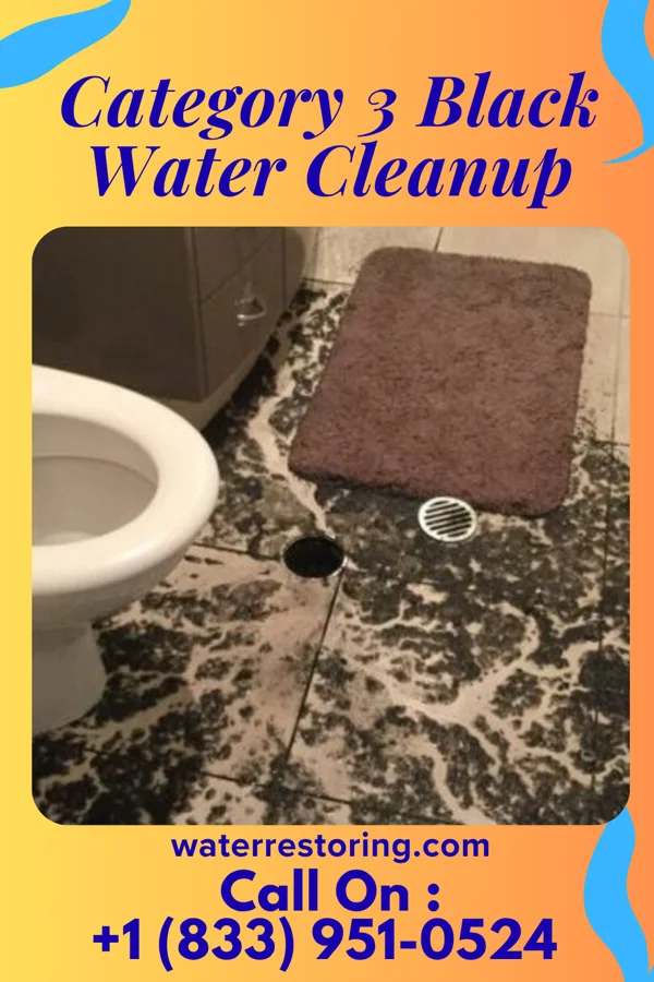 Category 3 Black Water Cleanup in Sunbury, PA