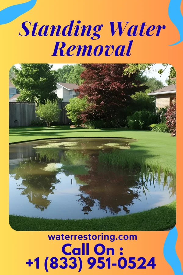 Standing Water Removal in Sunbury, PA